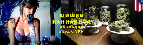 твердый Новозыбков