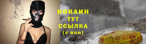 spice Няндома