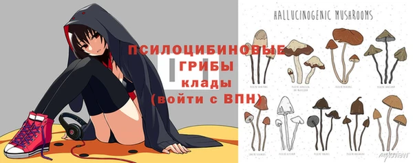 spice Няндома
