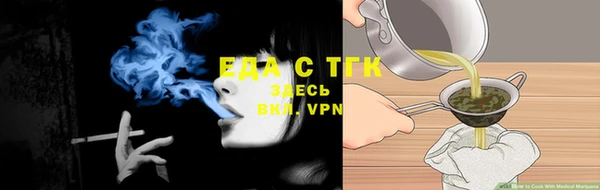 твердый Новозыбков