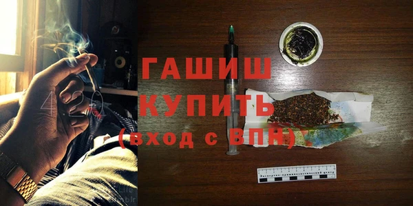 твердый Новозыбков