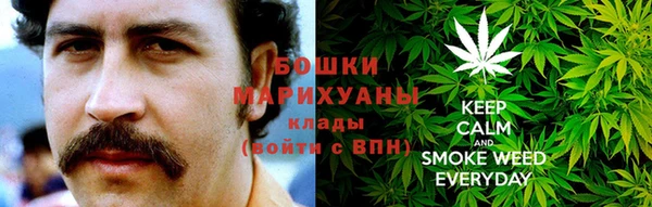 твердый Новозыбков