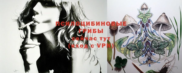 твердый Новозыбков