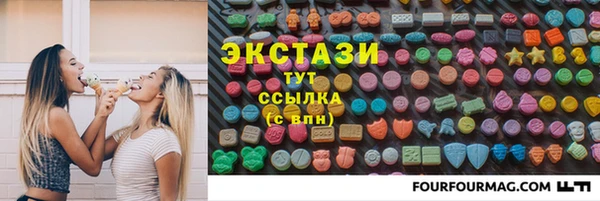 твердый Новозыбков