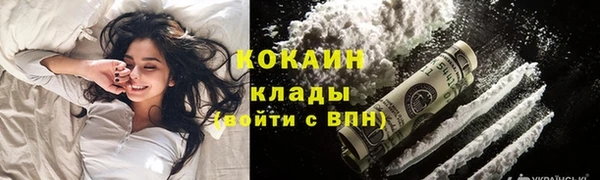spice Няндома